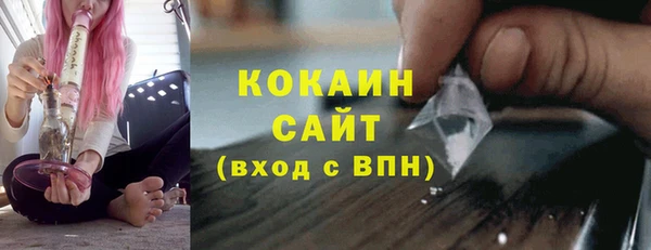 соль курить ск Белокуриха