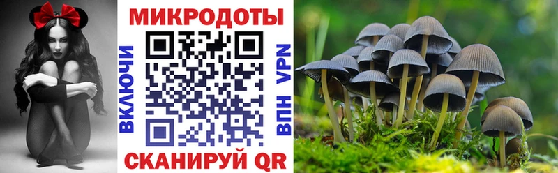 как найти закладки  Судогда  Галлюциногенные грибы ЛСД 