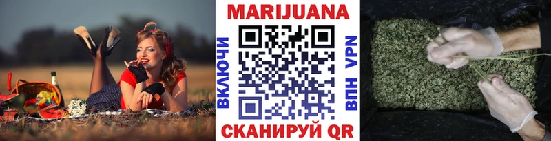 мега как зайти  Судогда  Марихуана конопля 